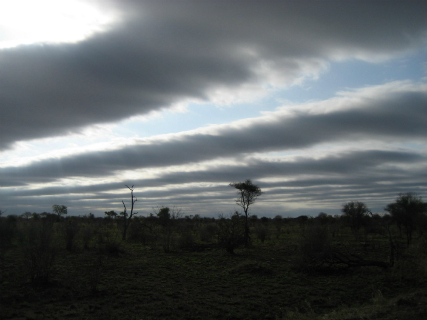 Savannah Sky (2010)